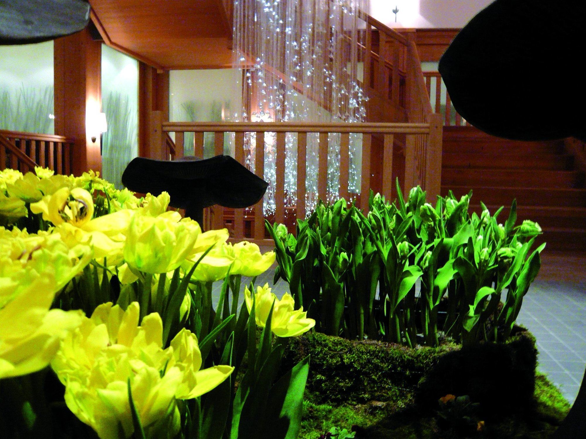 Chalet Royalp Hotel & Spa Villars-sur-Ollon Interior foto
